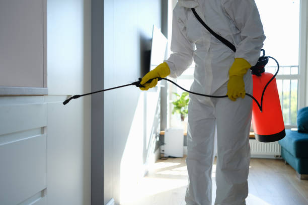 Best Mold Cleaning Services  in Dublin, CA