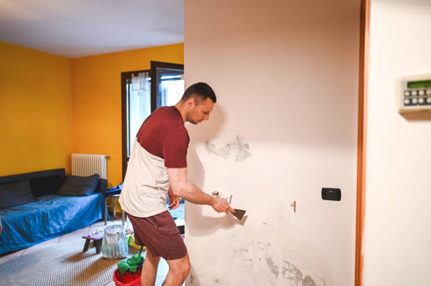 Best Commercial Mold Removal  in Dublin, CA